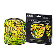 Load image into Gallery viewer, Luminary Lanterns by Modgy - Set of 4
