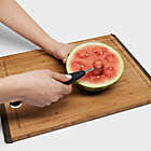 Load image into Gallery viewer, OXO Double Melon Baller
